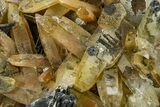 Black Tourmaline (Schorl) Crystal Cluster with Quartz - Namibia #363672-2